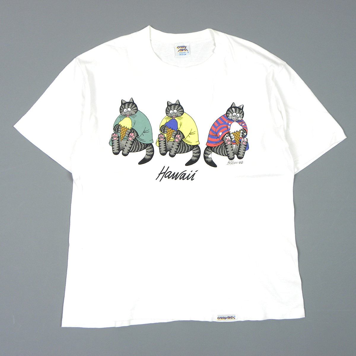 クレイジーシャツ Shirts Crazy 90s crazy スウェット トレーナー M T 