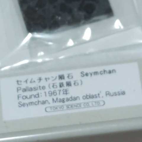 セイムチャン隕石 Seymchan パラサイト隕石 オリビン 標本 491