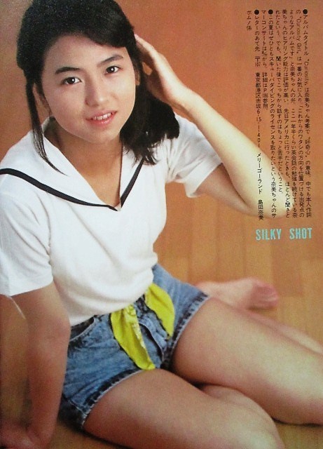 ♪島田奈美（島田奈央子）切り抜き50枚+ピンナップ他！志村香藤井一子