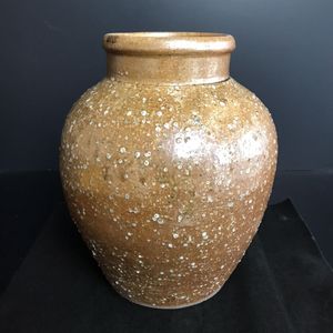 信楽焼 花生のYahoo!オークション(旧ヤフオク!)の相場・価格を見る