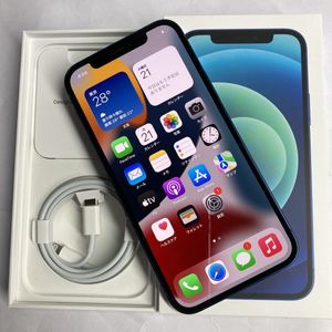 Apple Iphone 12 Mghr3j A 64gbgb 画面に難あり フリッカーノイズ画面になる Www Fadecom Pe