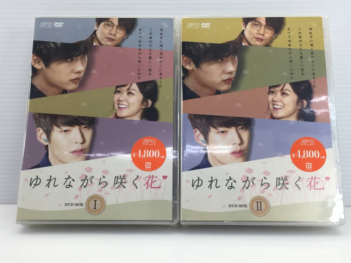 Spo ゆれながら咲く花 Dvd Box セット 未開封 韓流 韓国 Bigboxestudios Com Br