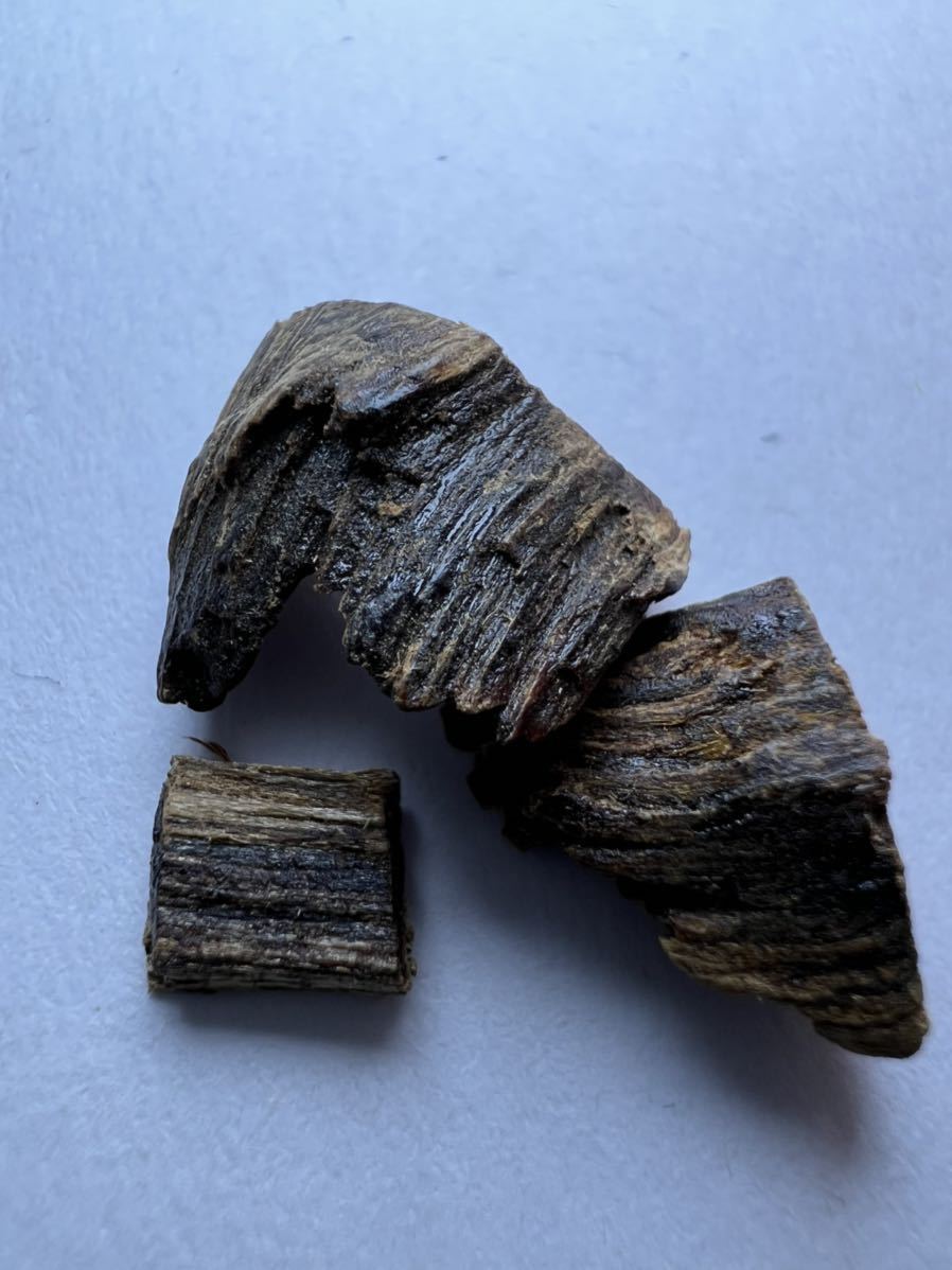 古渡命銘木 真南蛮 銘 # 銘吐月1.777g 香木⁄沈香⁄伽羅
