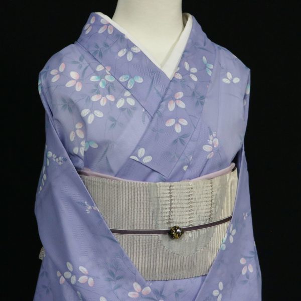【人気セール】 11502 秀品 夏物 秋草模様 駒絽小紋 洗える着物 薄物(仕立て上がり)｜売買されたオークション情報、yahooの商品情報をアーカイブ公開 - オークファン 仕立て上がり
