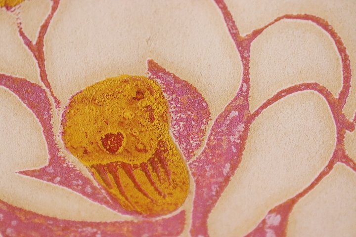 TB526岸浩 木版画 「化石と魚と椿（B）」74年 額装◇シェル賞展新人賞 