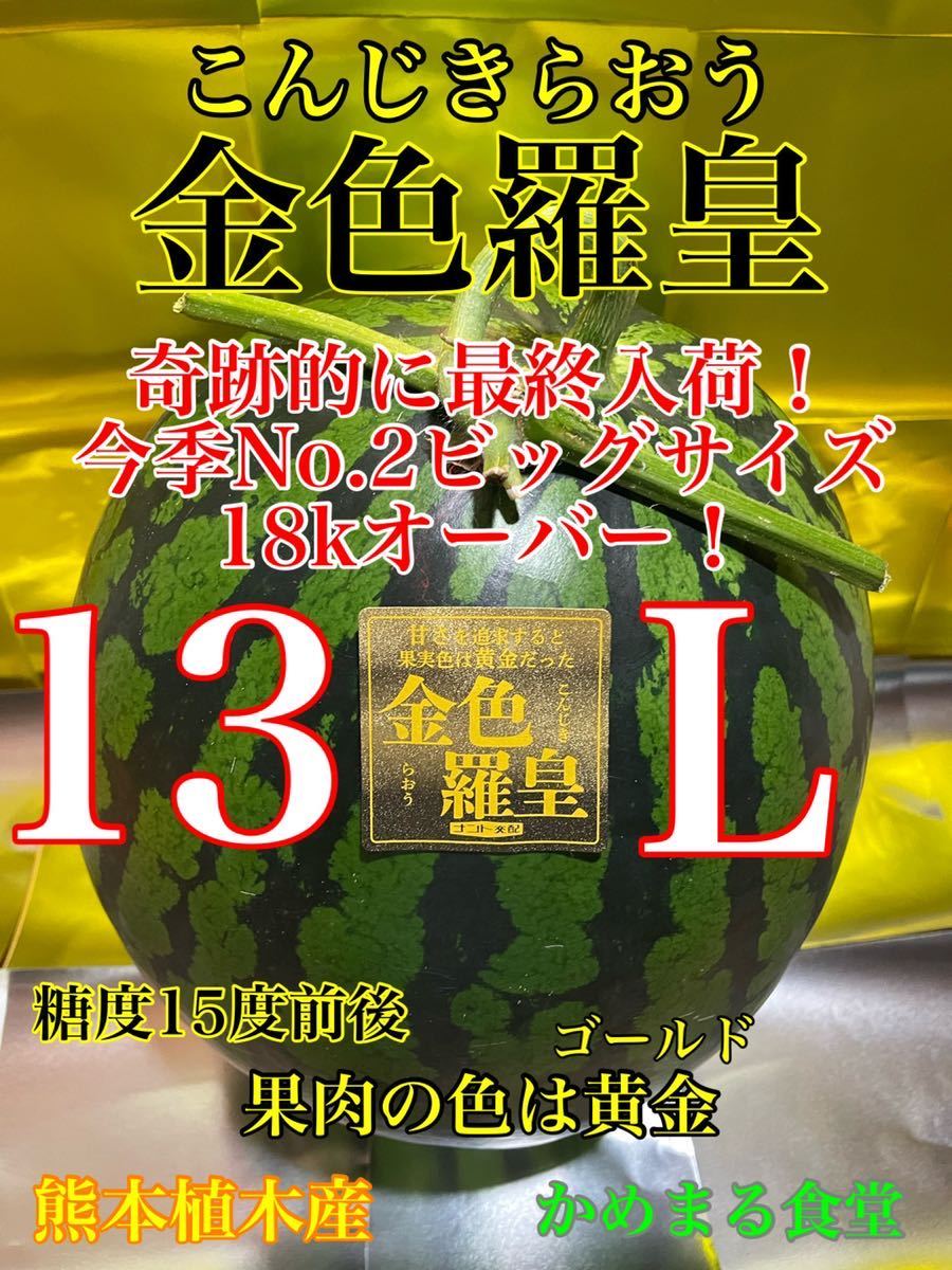 今季最初で最後！限定1【送料無料】超超超激レア【金色羅皇】超特大13L（18kg超）熊本植木産 かめまる食堂2