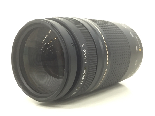 Canon EF 75-300mm Lens f⁄4-5.6 III Zoom Telephoto USM IS - | Bundle :