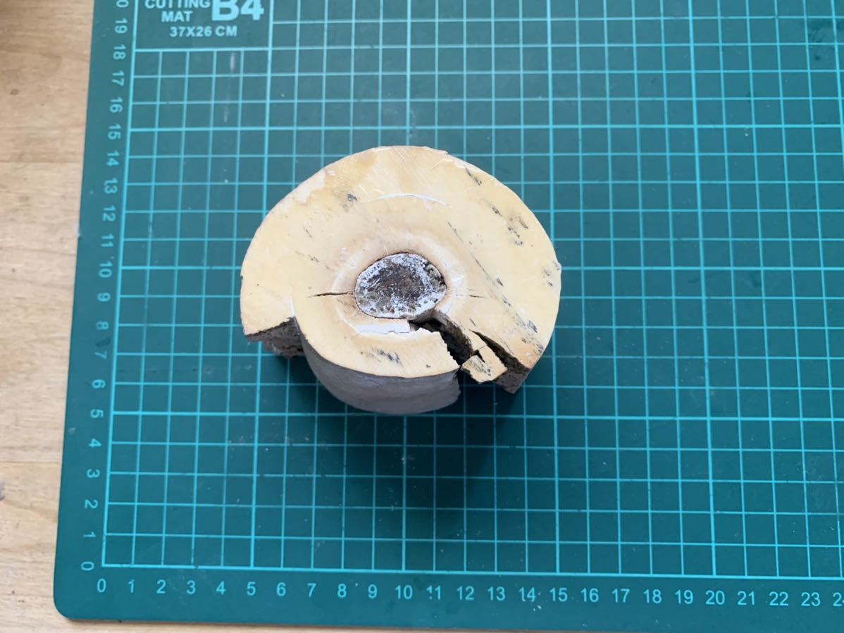 マンモス化石彫刻 マンモスの化石、彫刻素材_大きめ①（1019g) 熊