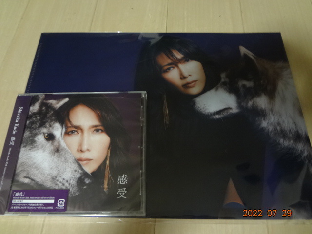 人気セール，限定セール 特典付 初回仕様 工藤静香 感受 Shizuka Kudo 35th Anniversary self-cover album(工藤静香)｜売買されたオークション情報、yahooの商品情報をアーカイブ公開 - オークファン か行