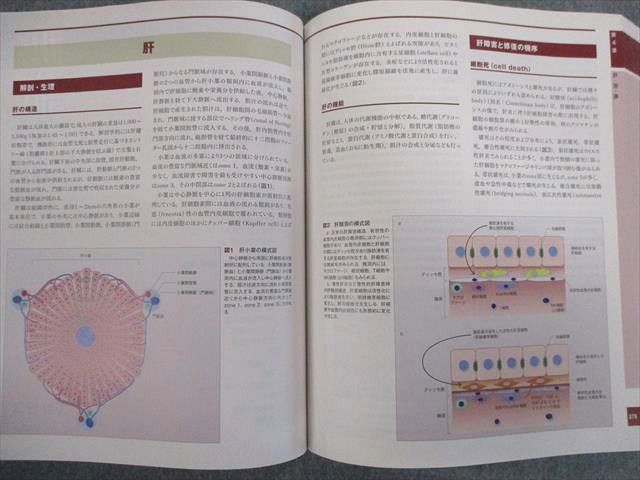 解明 病理学 病気のメカニズムを解く／医歯薬出版株式会社 通販 病気