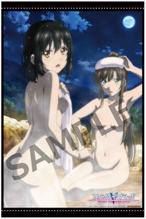 ストライク・ザ・ブラッドFINAL OVA ゲーマーズ BD/DVD全巻購入特典 描き下ろしB2タペストリー 姫柊雪菜 煌坂紗矢華　(Blu-ray Vol.1 Vol.2