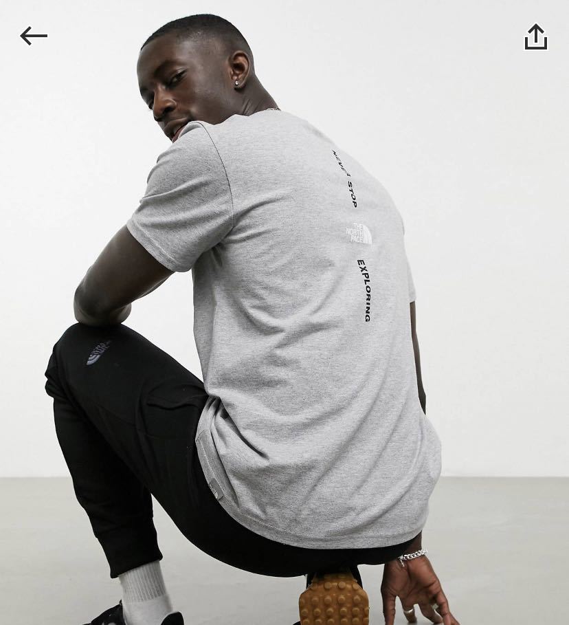 【品質保証，安い】 海外限定 The North Face Tee Tシャツ 日本サイズL(半袖Tシャツ)｜売買されたオークション情報、yahooの商品情報をアーカイブ公開 - オークファン 男性用