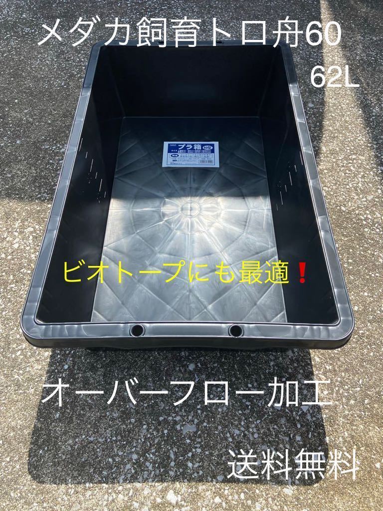 メダカ飼育トロ舟60ブラック オーバーフロー加工 の入札履歴 - 入札者