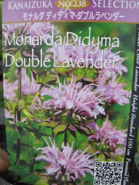モナルダの値段と価格推移は 34件の売買情報を集計したモナルダの価格や価値の推移データを公開
