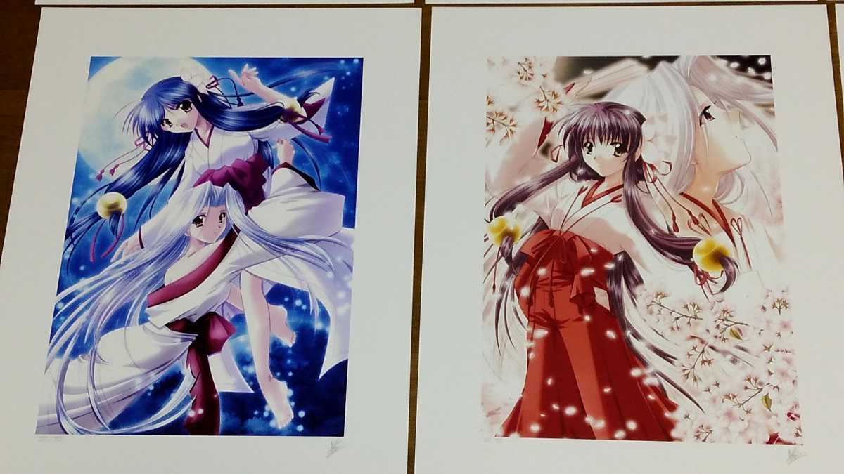 M&Iアート 山本和枝 IZUMO コレクターズエディション 山本和枝 IZUMO コレクターズエディション サイン入り(あ行)｜売買され