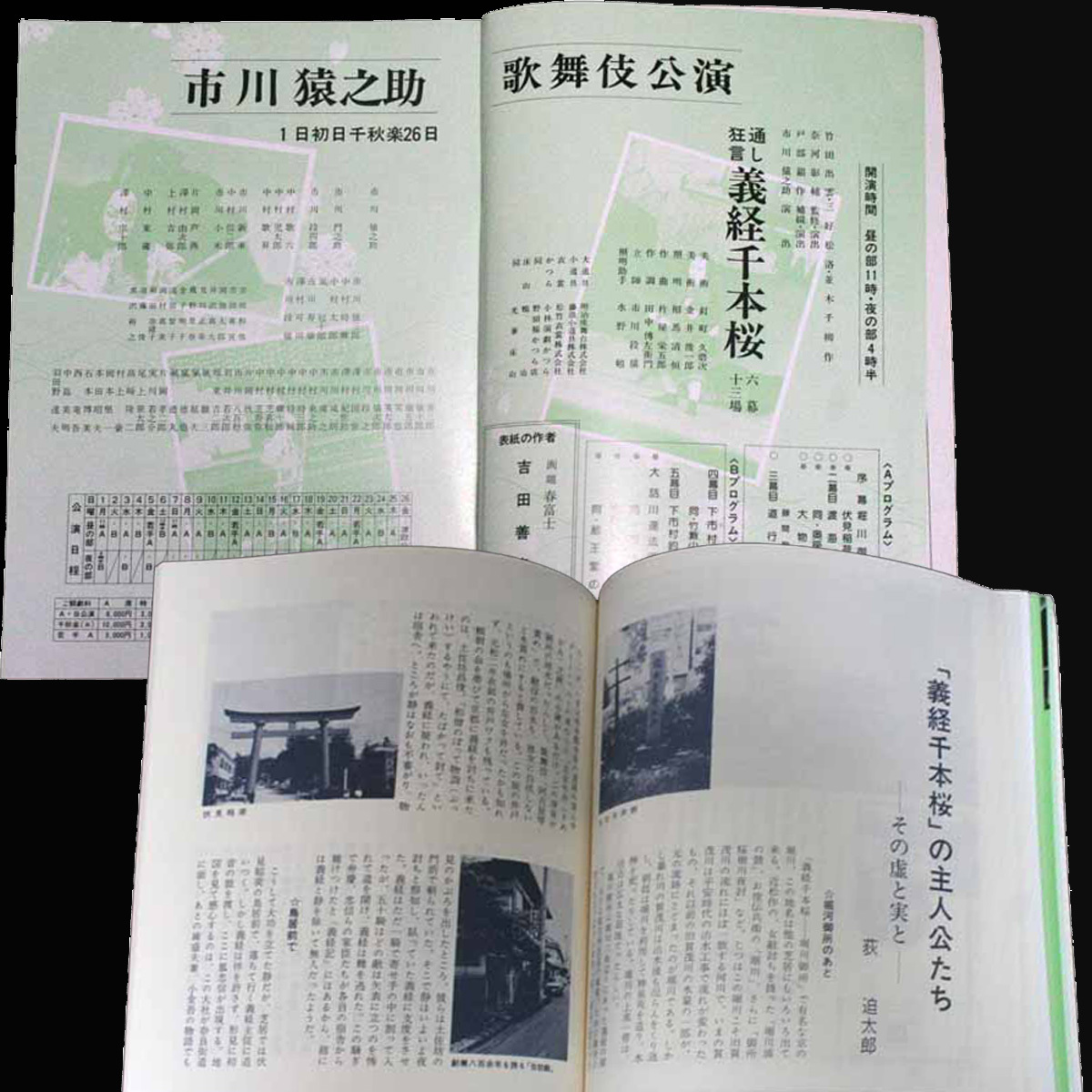 市川猿之助歌舞伎公演 通し狂言義経千本桜 国立劇場第141回 1月歌舞伎