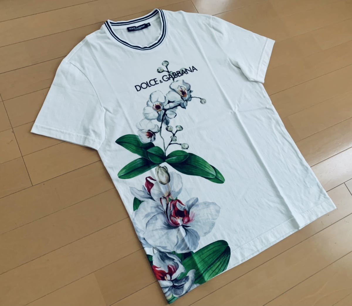 ドルチェ&ガッバーナ DG 蘭 グラフィック ブランドロゴ 半袖 Tシャツ 