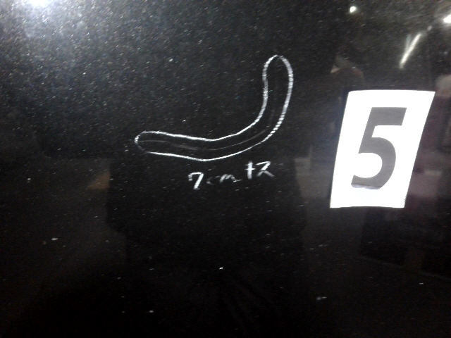 H22年 エルグランド DBA-PNE52 ボンネット フード 黒 GAE E52 PE52 TE52 TNE52 5kurudepa= 32441