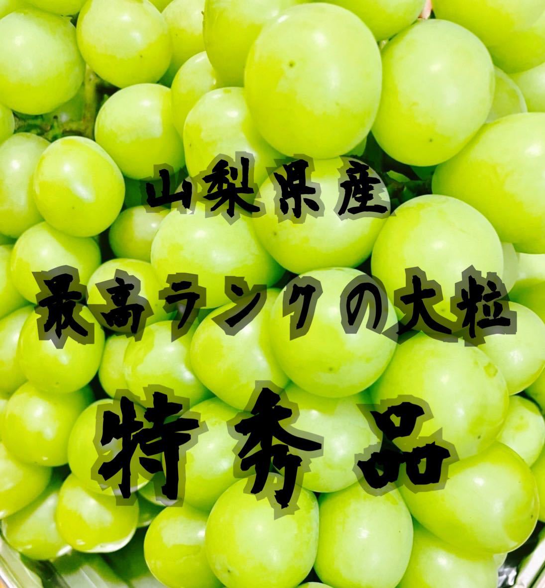 山梨県産シャインマスカット【特大粒 特秀品】 シャインマスカット 特