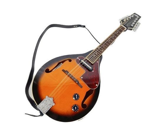 エレキマンドリン Aria AM-20E ピックアップ搭載 ケース2個付き お