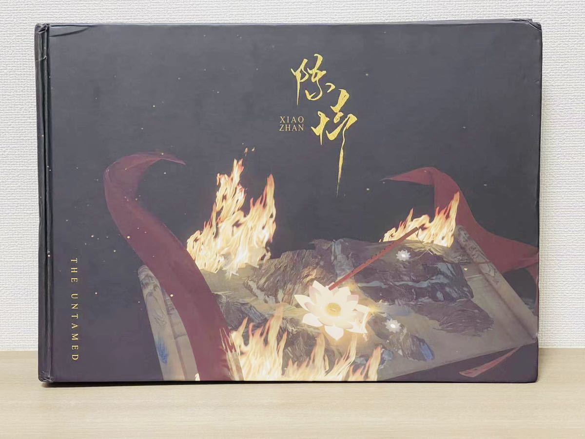 肖戦 陳情令 肖战 ①陳情令 32歳記念写真集 希少写真