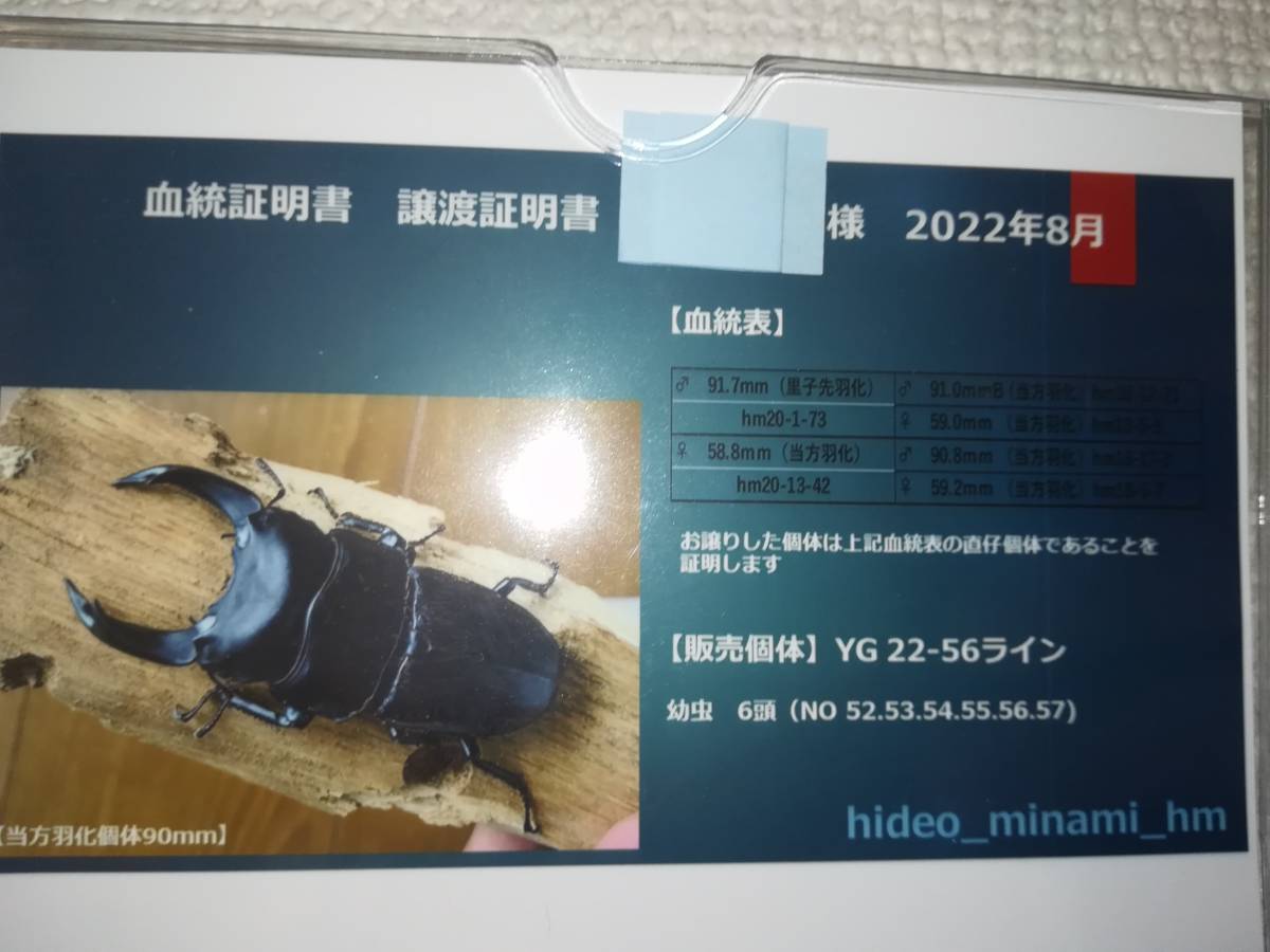 r1064667164.6