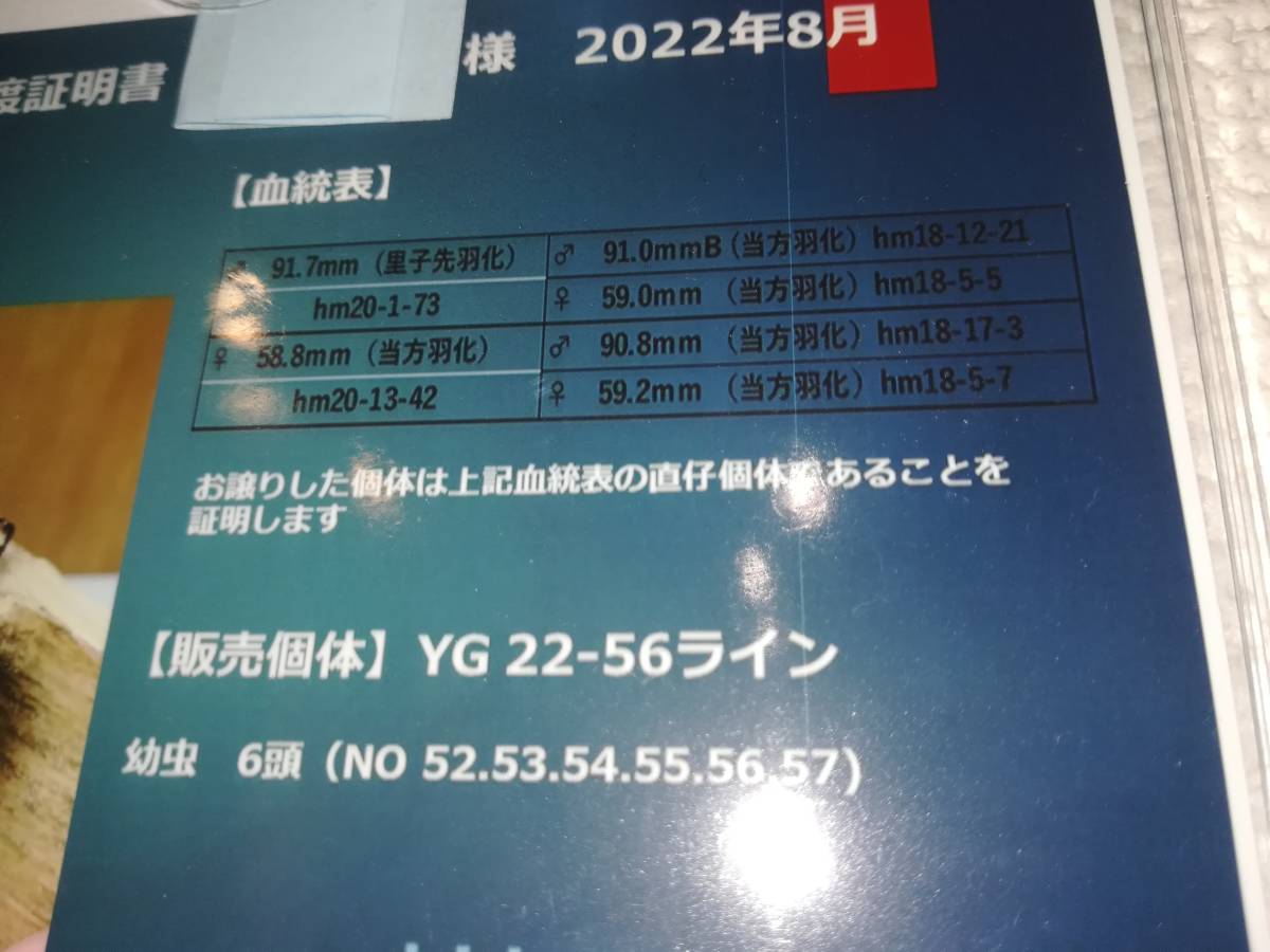 r1064667164.7