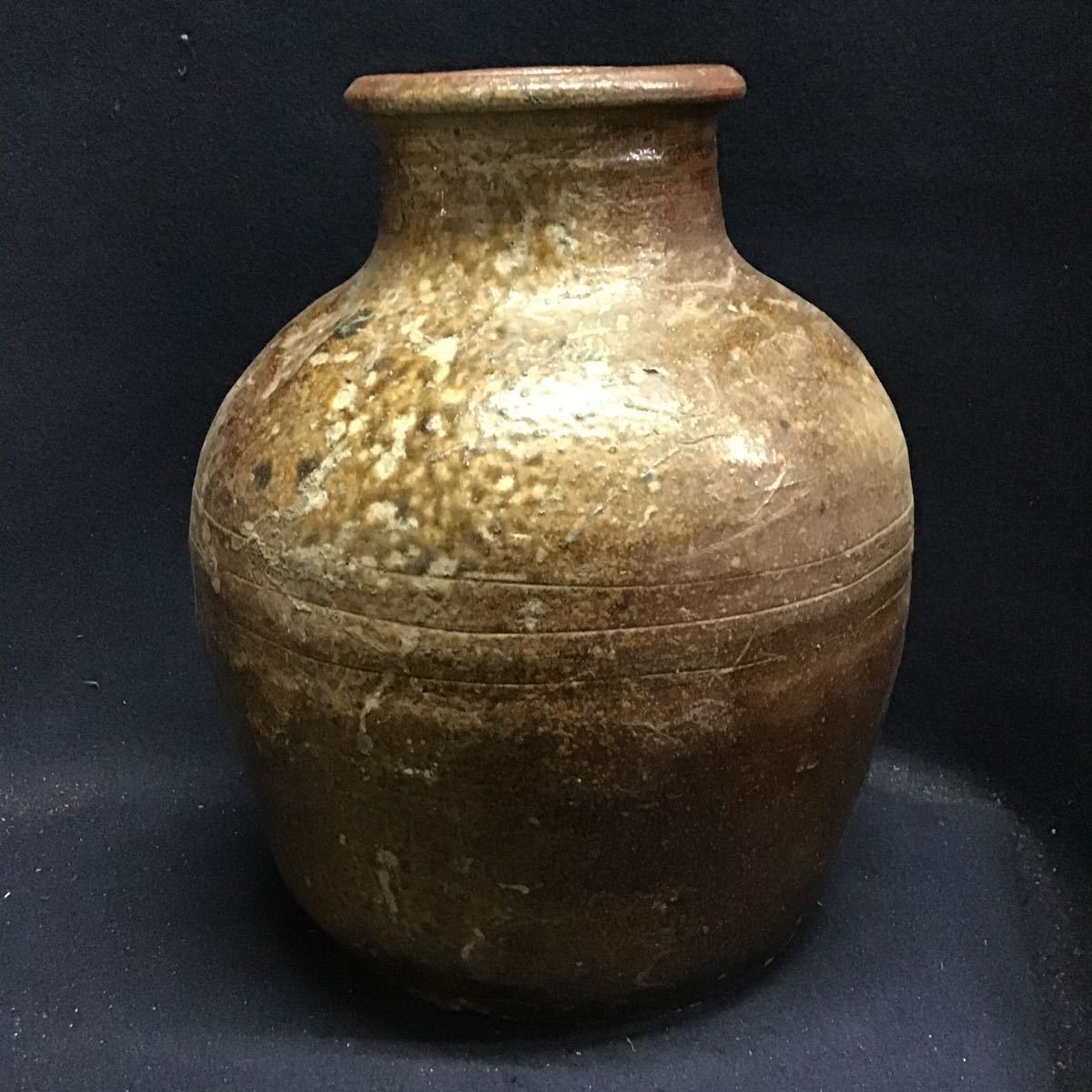 古丹波 | レトロ屋うめばち 壺（1603–1867CE） 入蘆花（ロカニイル