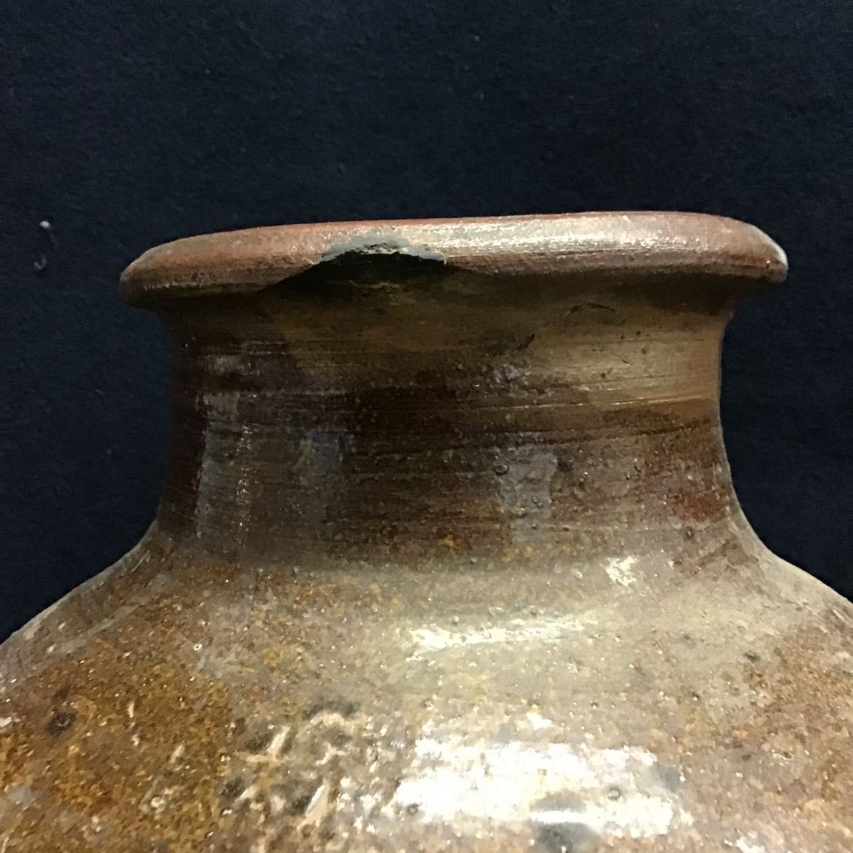 古丹波 | レトロ屋うめばち 壺（1603–1867CE） 入蘆花（ロカニイル