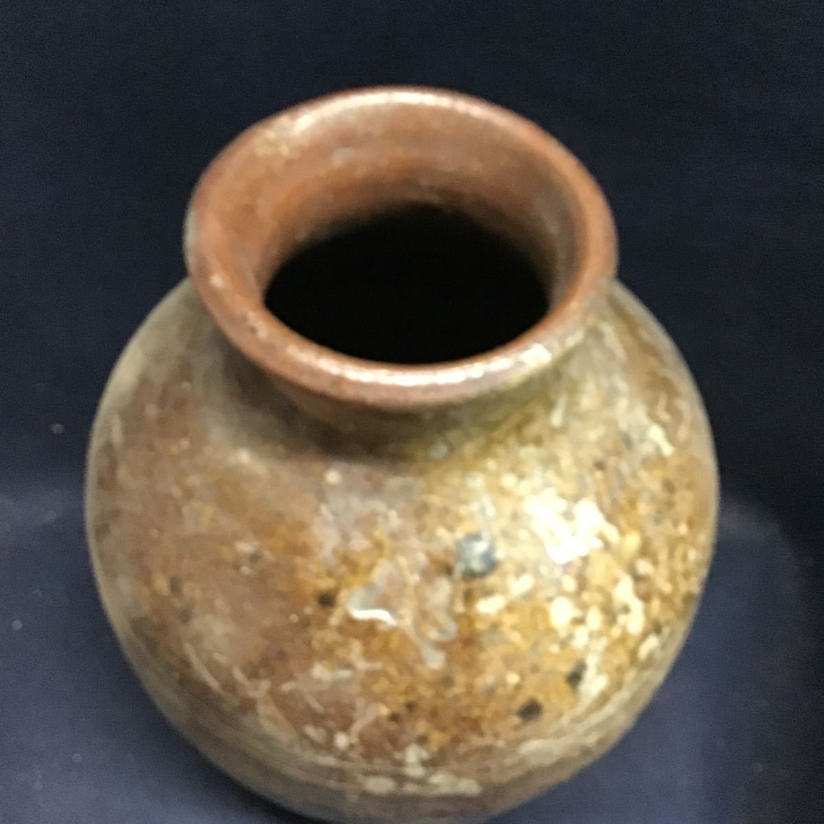 古丹波 | レトロ屋うめばち 壺（1603–1867CE） 入蘆花（ロカニイル