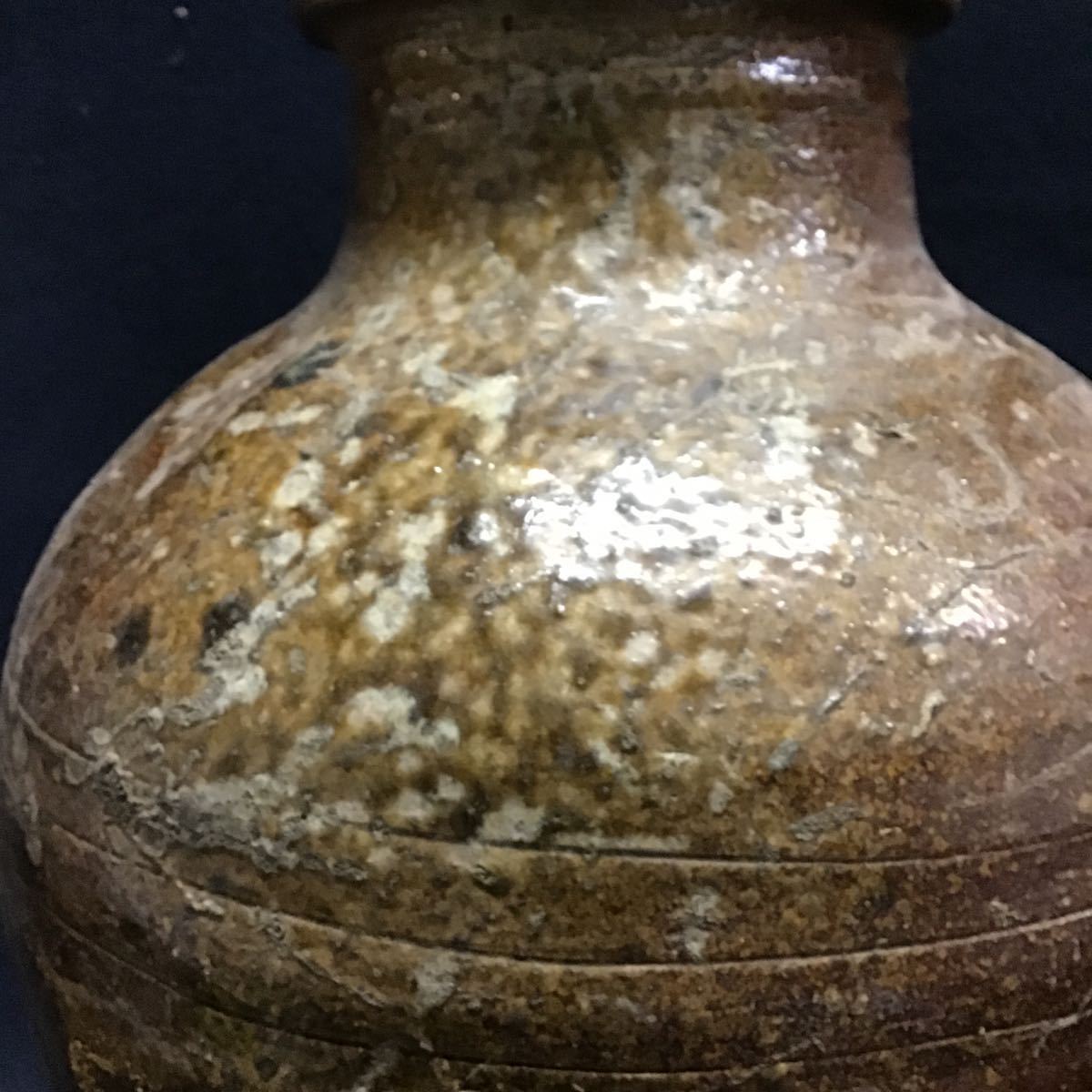 古丹波 | レトロ屋うめばち 壺（1603–1867CE） 入蘆花（ロカニイル