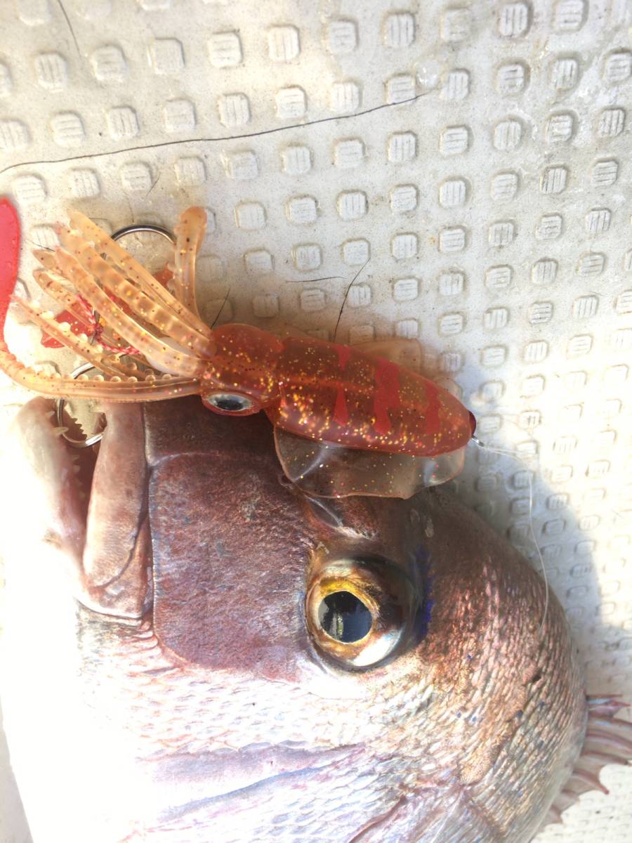 アオリ烏賊の値段と価格推移は 77件の売買情報を集計したアオリ烏賊の価格や価値の推移データを公開