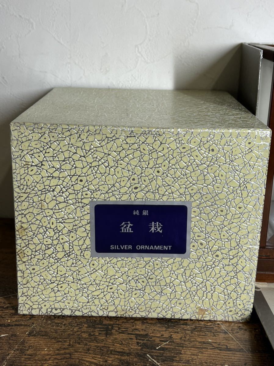 ☆純銀製☆純銀 盆栽 1号 竹☆光則作☆ケース入り☆工芸品☆ガラス