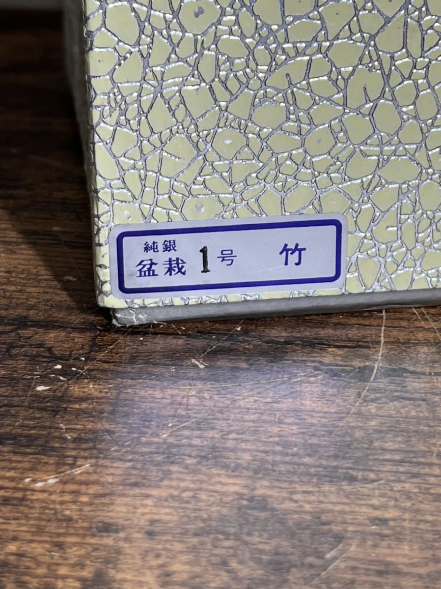 ☆純銀製☆純銀 盆栽 1号 竹☆光則作☆ケース入り☆工芸品☆ガラス