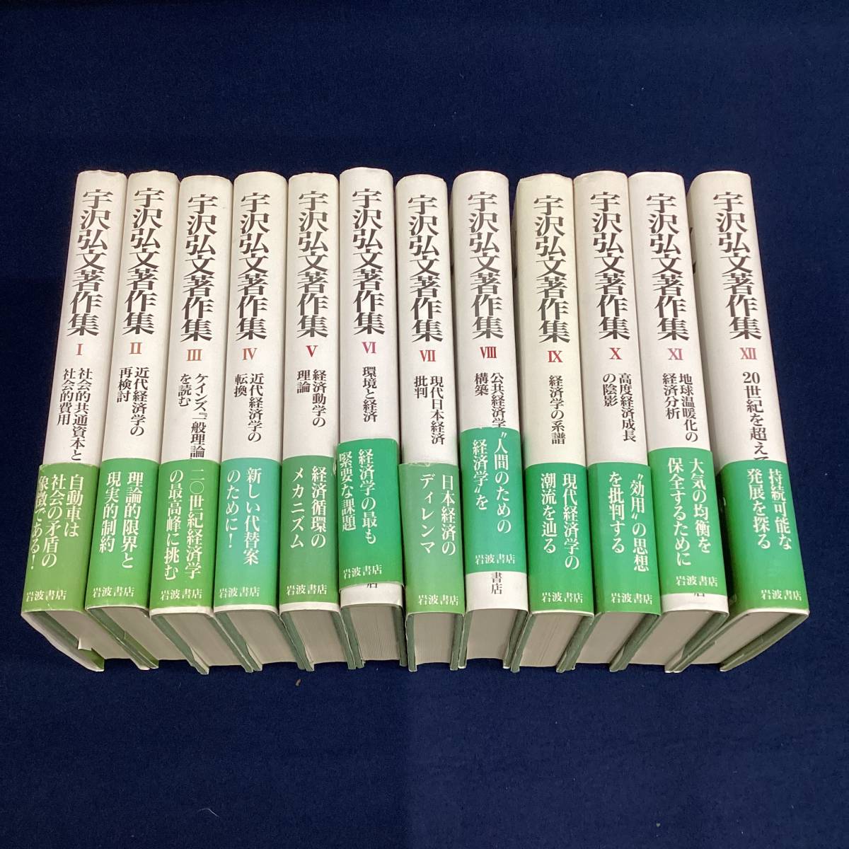 宇沢 - 弘文 岩波書店 社会的共通資本 |本 通販 人間・宇沢弘文」の実像