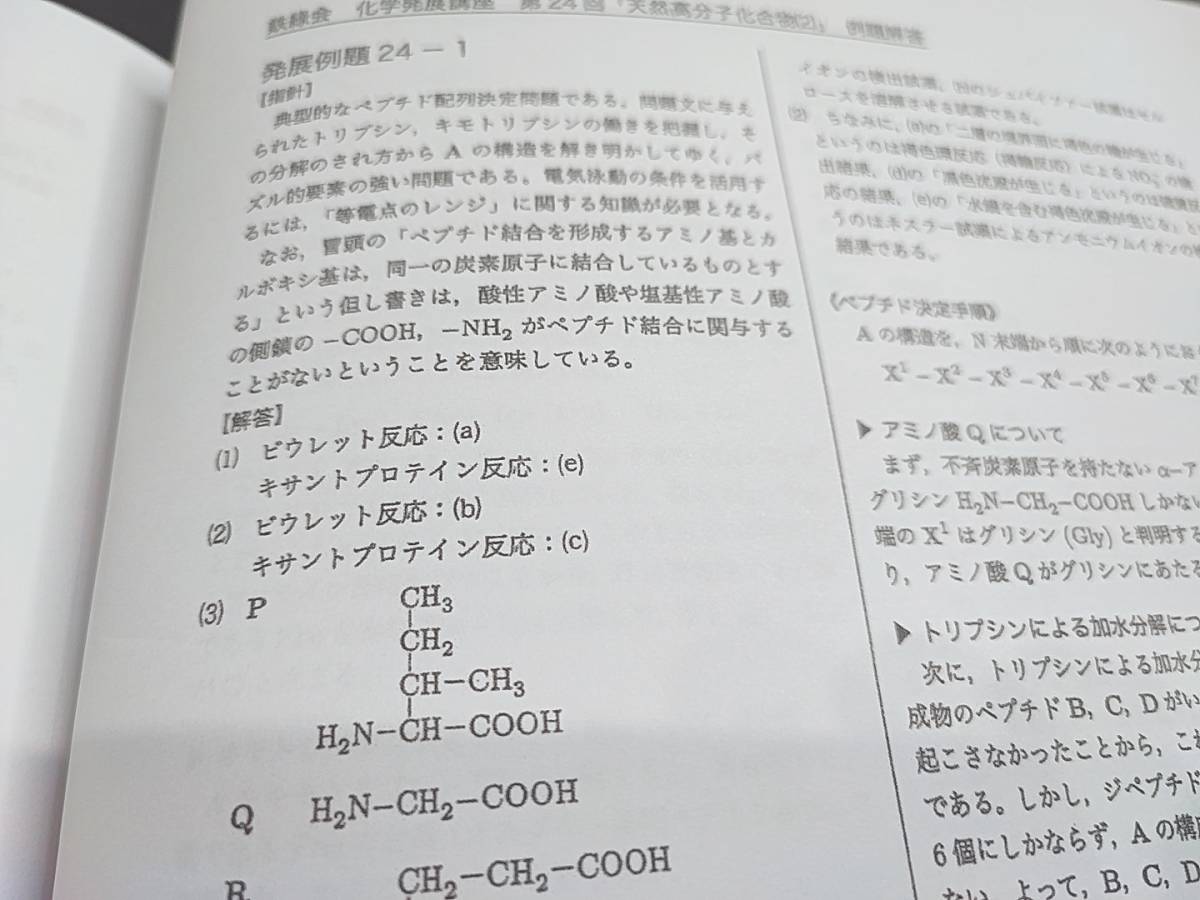 鉄緑会 高3化学発展講座 発展例題解説集 19年度現行対応 河合塾 駿台