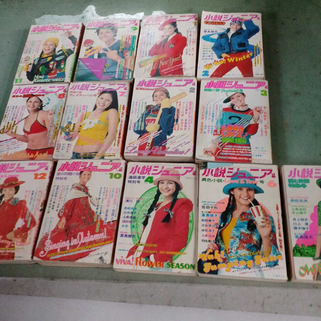 小説ジュニアの値段と価格推移は 163件の売買情報を集計した小説ジュニアの価格や価値の推移データを公開