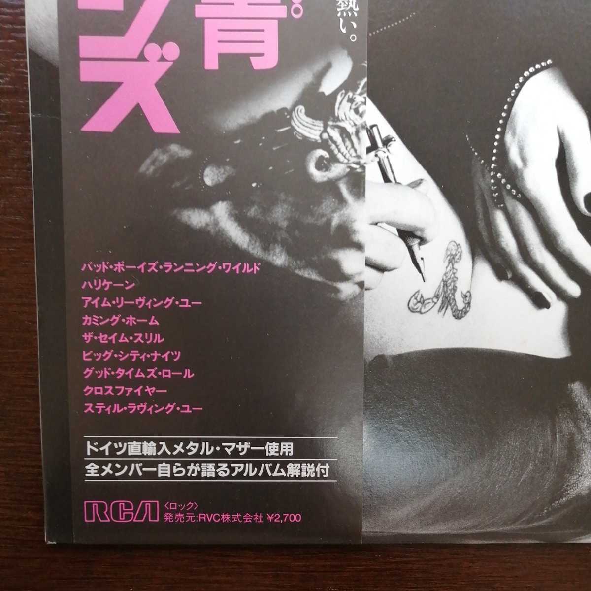 ⁄ Love AT First FIRST 禁断の刺青 Sting At Scorpions LOVE