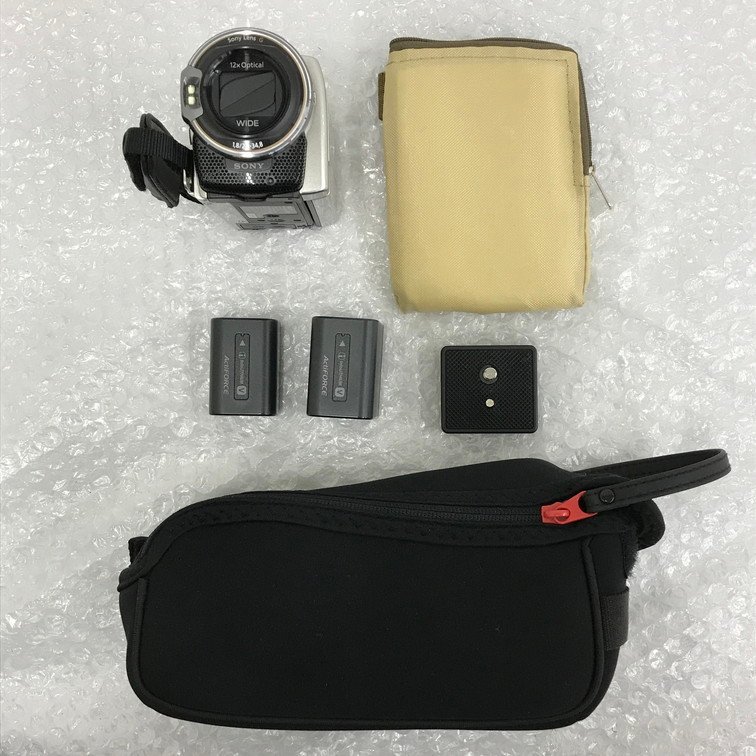 HDR-CX590V SONY Handycam シャンパンシルバー 商品の写真 大容量