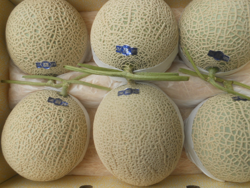 ☆約8，6kg ☆ 高知産 マスクメロン ☆6玉入 ☆家庭用 高知県産