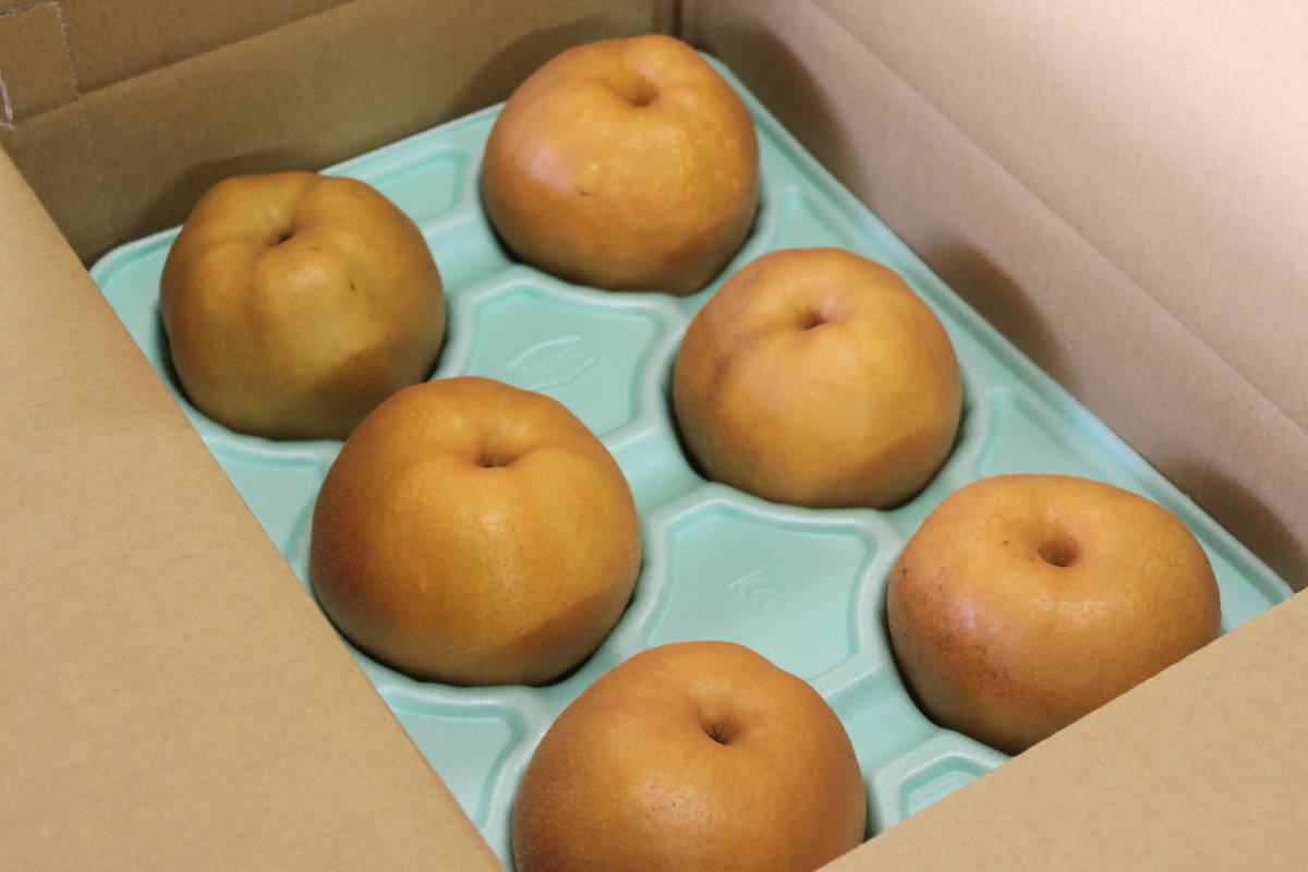 冬の梨”日の出” 糖度14度以上2.5kg6玉大玉 最高等級 太鼓判級 旬の果物産地直送 南水 新高 にっこり梨 新興梨 秋月(梨)｜売買され ...