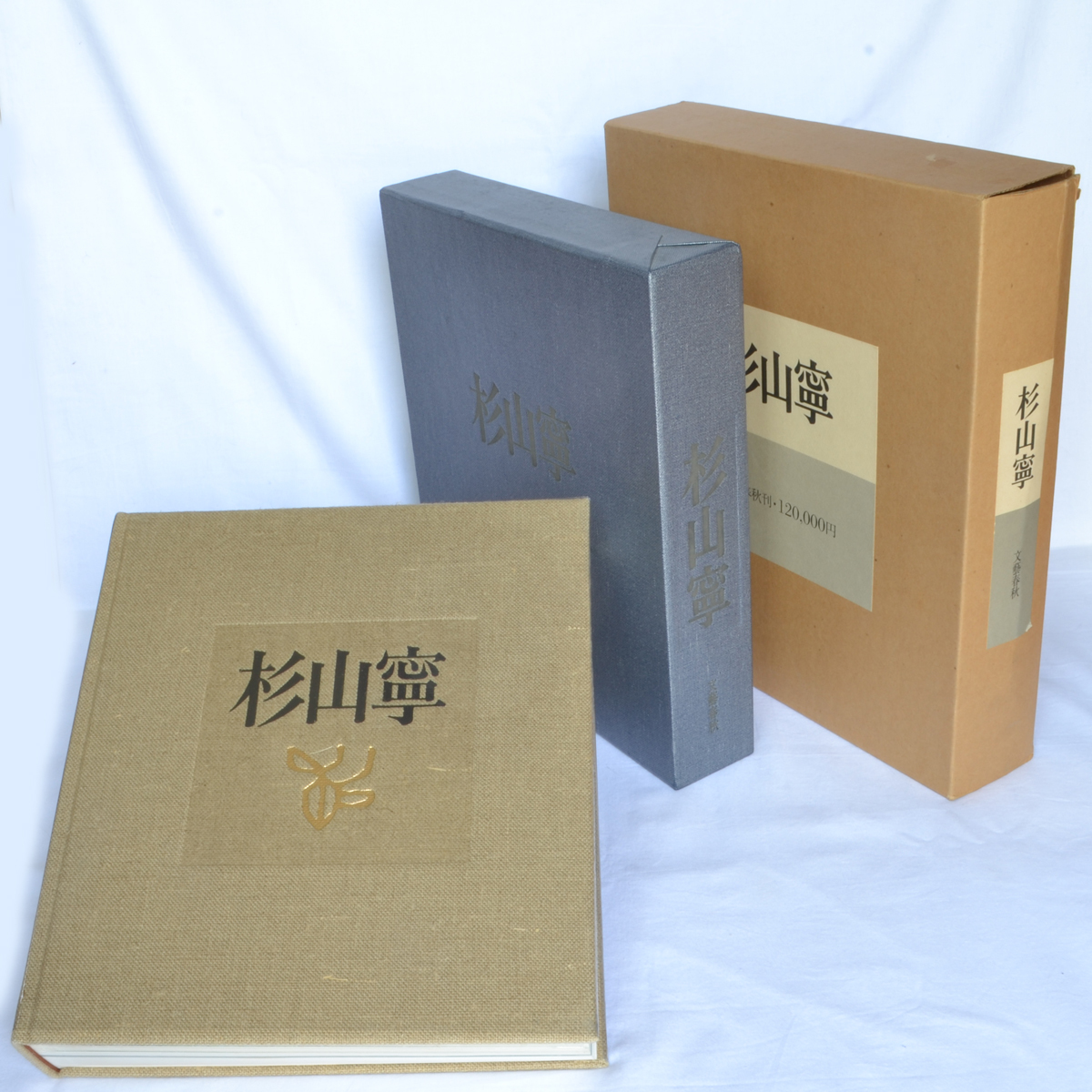 ⁄ 杉山寧 Books 杉山寧画集 限定版 | Natsume 0 - 1 ) – 杉山寧(杉山