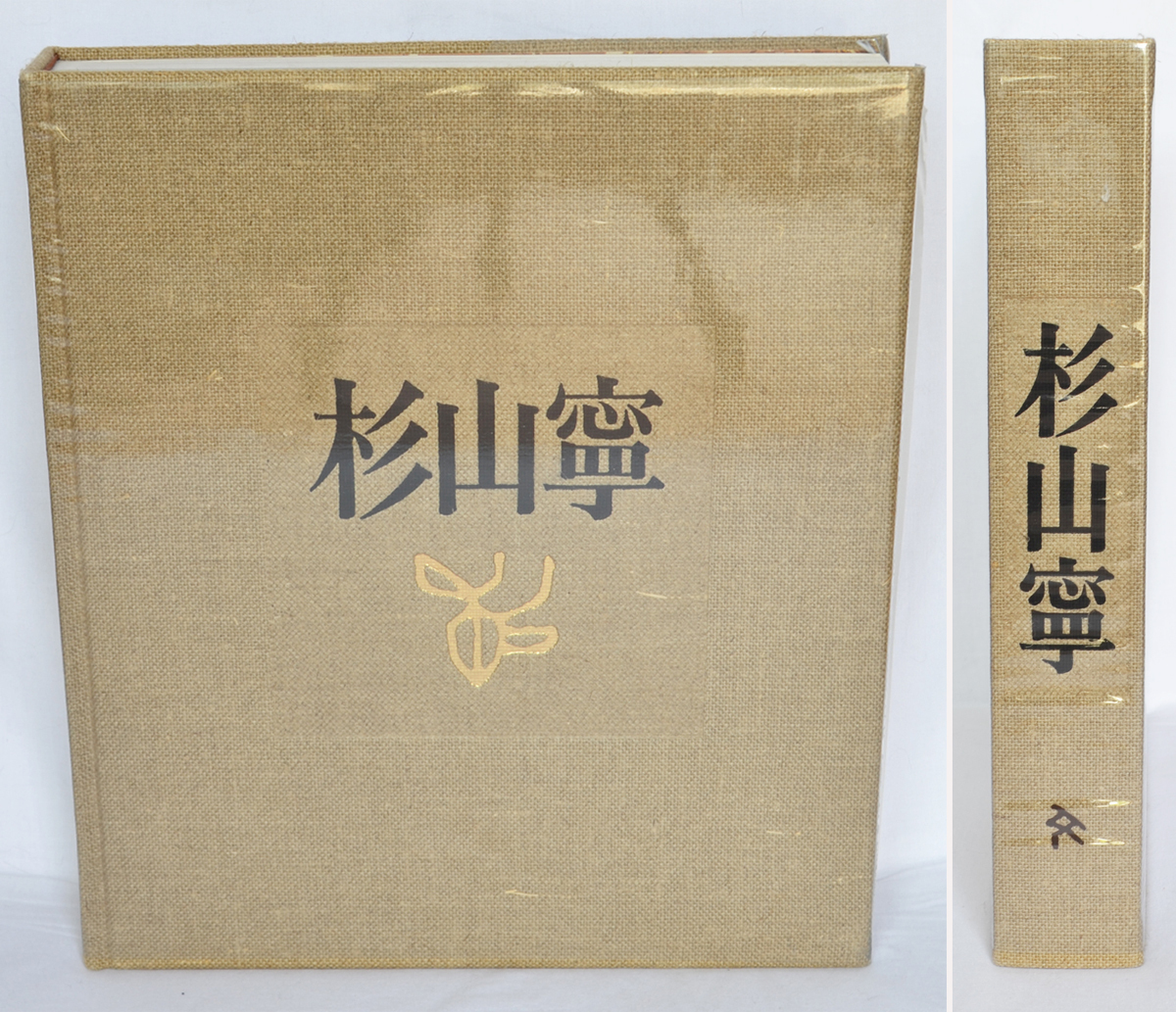 ⁄ 杉山寧 Books 杉山寧画集 限定版 | Natsume 0 - 1 ) – 杉山寧(杉山