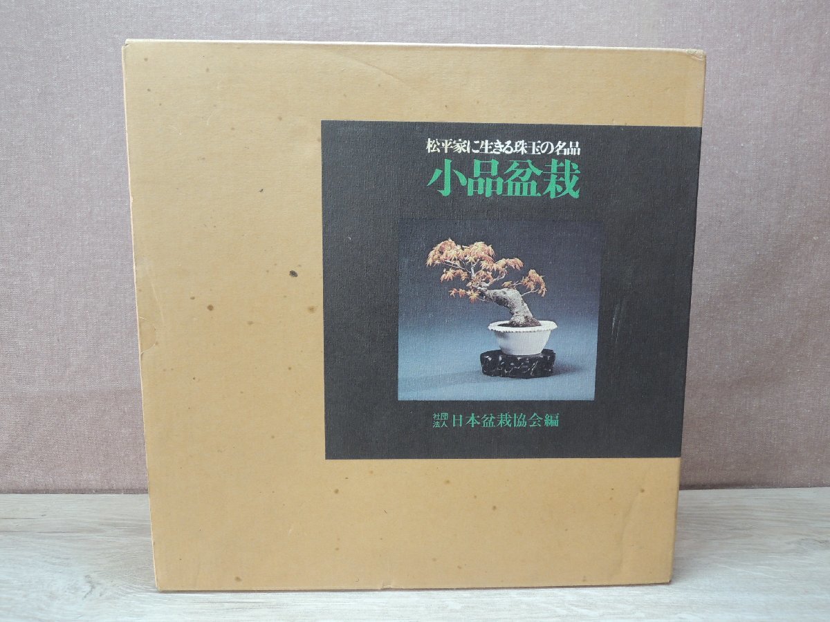 古書松平家に生きる珠玉の名品 小品盆栽 日本盆栽協会 本、雑誌