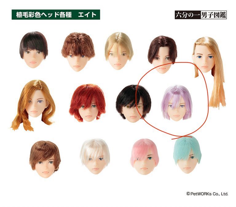 ペットワークス 六分の一男子図鑑 エイト カスタムヘッドのみ 六