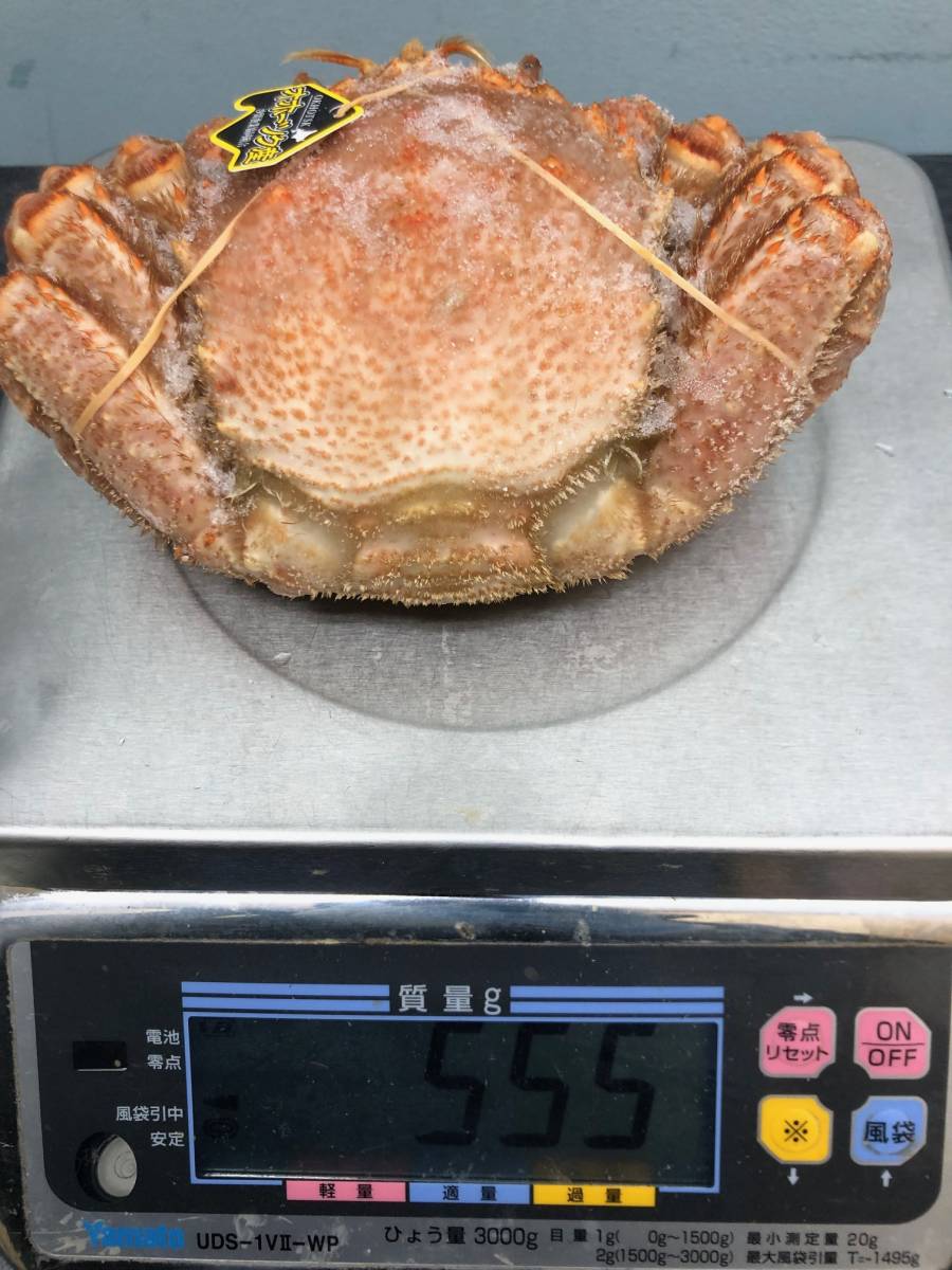 北海道産☆大サイズボイル冷凍毛蟹×2尾(合計約1156g)☆1円 北海道産☆大サイズボイル冷凍毛蟹×2尾(合計約1156g)☆1円
