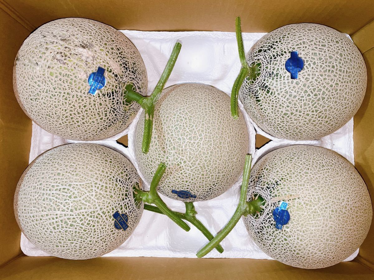 写真現物】熊本産 アールスメロン【優品3Lサイズ5玉 約9.6k箱込】かめ