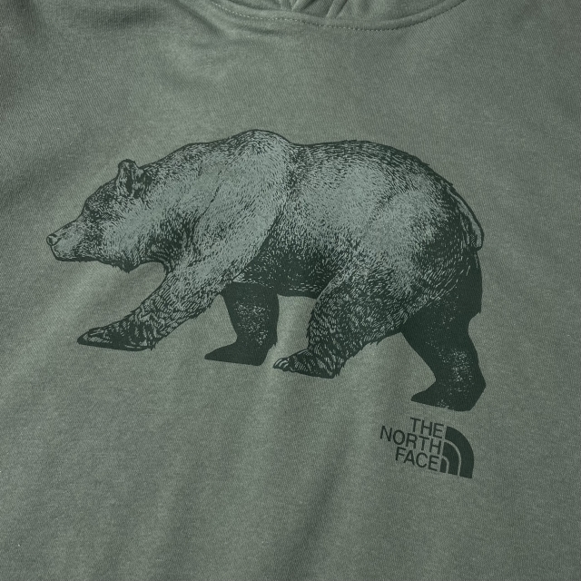 1円～!売切!【正規新品】THE NORTH FACE◆TNF BEAR PULLOVER HOODIE プルオーバー パーカー US限定 クマ 裏起毛 キャンプ(XL)緑 181130-18