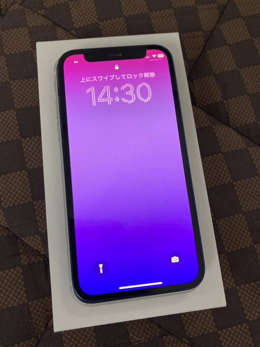iPhone 12 mini SIMフリー 64GBブルー　ジャンク品 64GB iPhone mini 美品公式 64gb 動作確認済み