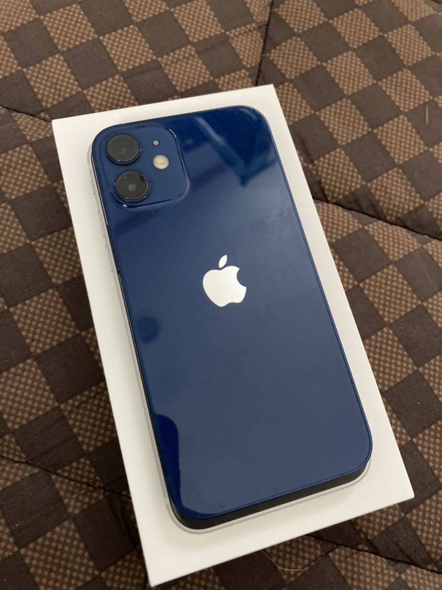 iPhone 12 mini SIMフリー 64GBブルー　ジャンク品 64GB iPhone mini 美品公式 64gb 動作確認済み